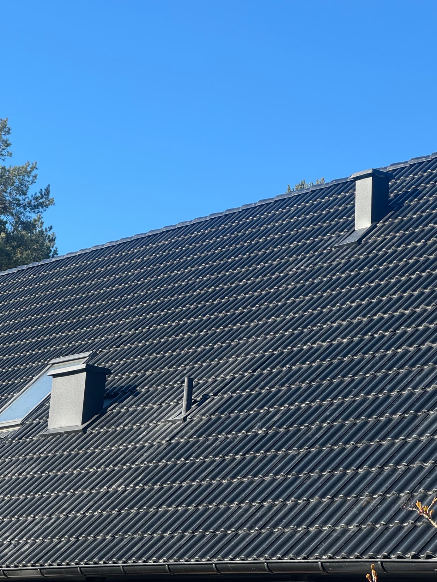 Stort svart plåttak med flera takhuvar mot blå himmel